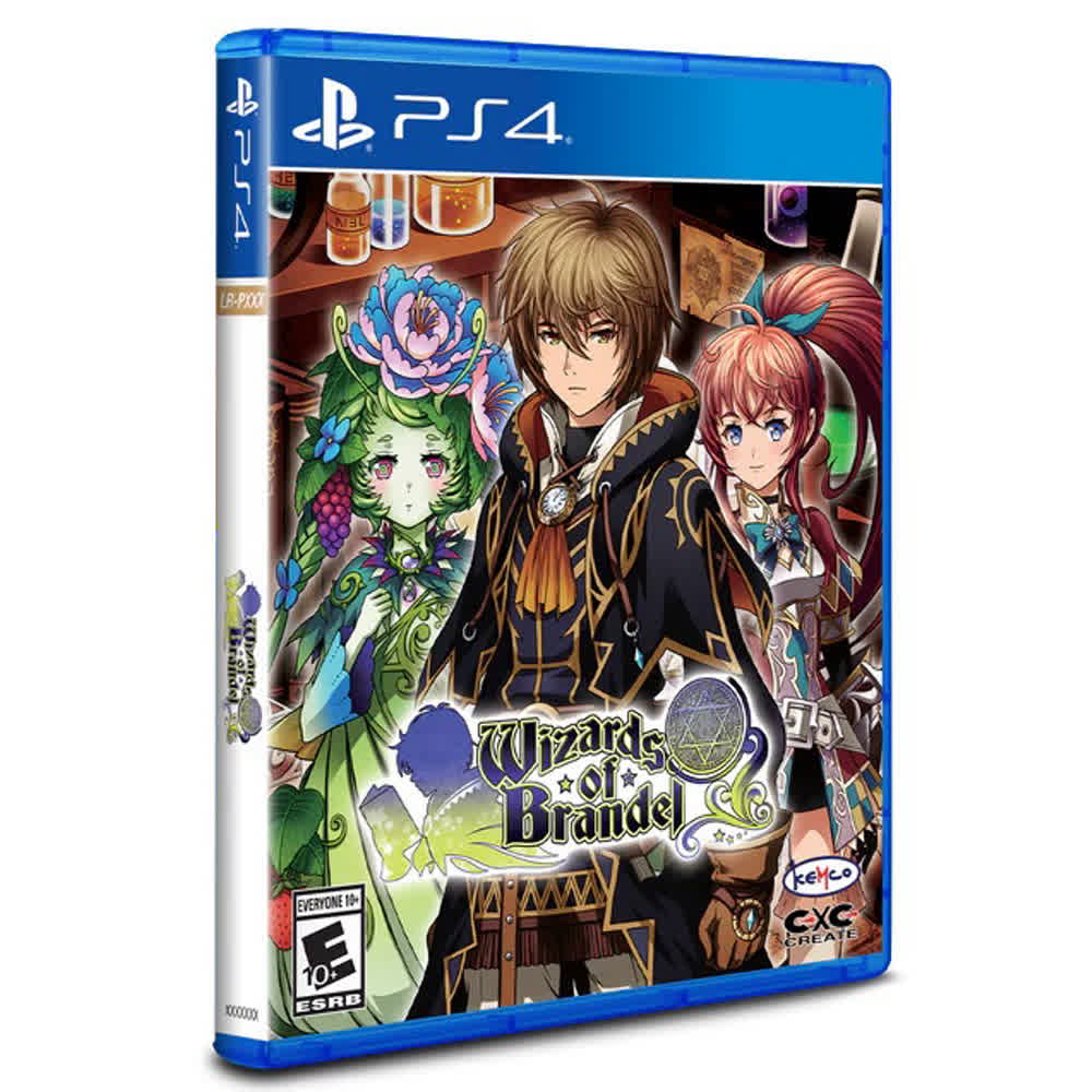 Wizards of Brandel (Limited Run) [PS4, английская версия]