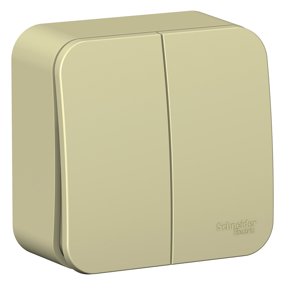 Выключатель 2-кл. О/У BLANCA 10А IP20 (сх. 5) 250В с изолир. пластиной беж. Systeme Electric BLNVA10