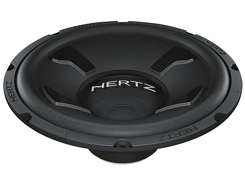 HERTZ DS-38.3  15'' головка SW