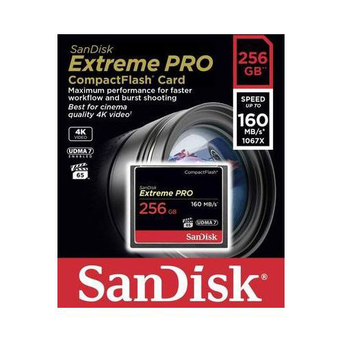 CF  SanDisk  Extreme Pro 256GB  (160 MB/s)